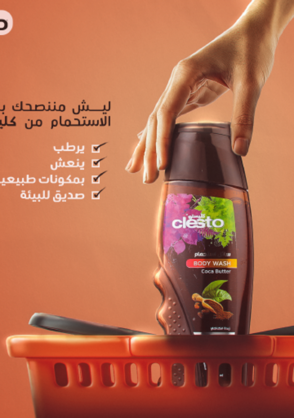 Clesto 1-portfolio